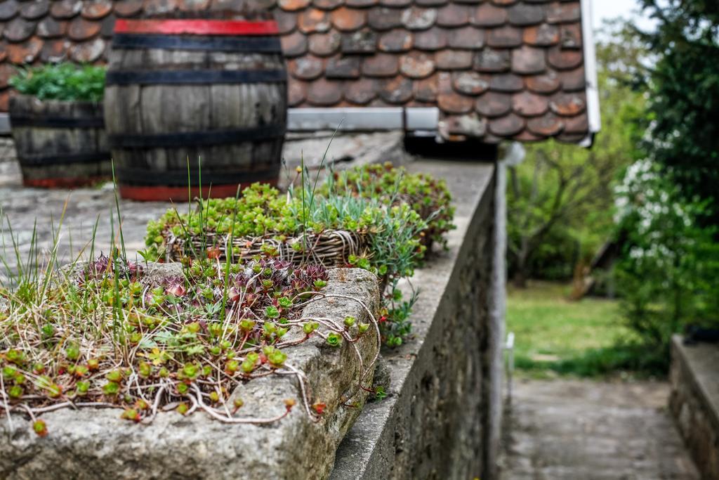 Myrtus Pince és Vendégház Tarcal Camera foto